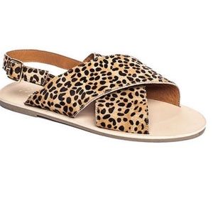 Matisse || Arielle Leopard Sandals